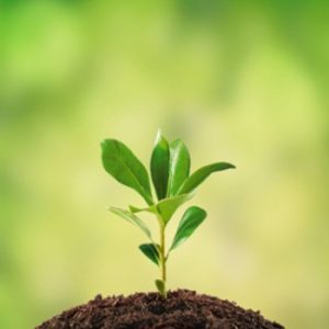 new start up business1 e1441988736873